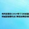 骞垮厓甯傚2024骞寸浜屾壒閲嶅ぇ浜嬫晠闅愭偅杩涜甯傜骇鎸傜墝鐫ｅ姙