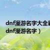 dnf漫游名字大全霸气（dnf漫游名字）