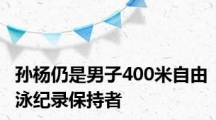 孙杨仍是男子400米自由泳纪录保持者