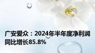 广安爱众：2024年半年度净利润同比增长85.8%