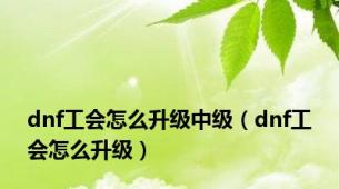 dnf工会怎么升级中级（dnf工会怎么升级）