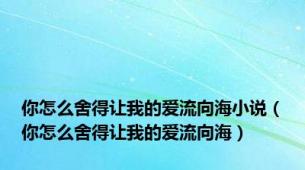 你怎么舍得让我的爱流向海小说（你怎么舍得让我的爱流向海）