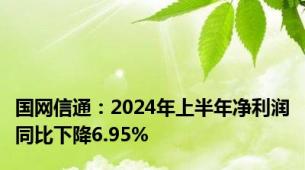 国网信通：2024年上半年净利润同比下降6.95%