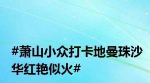 #萧山小众打卡地曼珠沙华红艳似火#