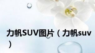 力帆SUV图片（力帆suv）