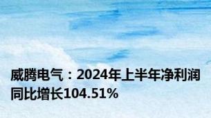 威腾电气：2024年上半年净利润同比增长104.51%