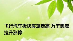 飞行汽车板块震荡走高 万丰奥威拉升涨停