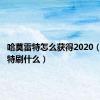 哈莫雷特怎么获得2020（哈莫雷特刷什么）