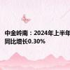 中金岭南：2024年上半年净利润同比增长0.30%