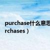 purchase什么意思（purchases）