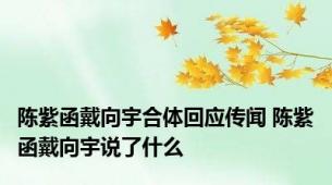 陈紫函戴向宇合体回应传闻 陈紫函戴向宇说了什么