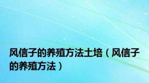 风信子的养殖方法土培（风信子的养殖方法）