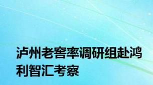 泸州老窖率调研组赴鸿利智汇考察