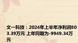 文一科技：2024年上半年净利润803.39万元 上年同期为-9949.34万元