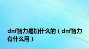 dnf智力是加什么的（dnf智力有什么用）