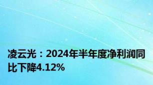 凌云光：2024年半年度净利润同比下降4.12%