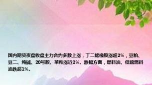 国内期货夜盘收盘主力合约多数上涨，丁二烯橡胶涨超2%，豆粕、豆二、纯碱、20号胶、菜粕涨近2%。跌幅方面，燃料油、低硫燃料油跌超1%。