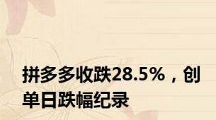 拼多多收跌28.5%，创单日跌幅纪录