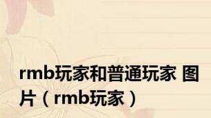 rmb玩家和普通玩家 图片（rmb玩家）