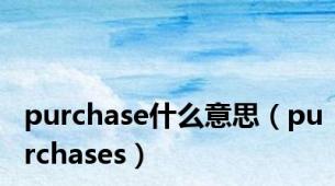 purchase什么意思（purchases）