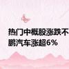 热门中概股涨跌不一 小鹏汽车涨超6%