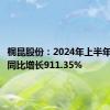 桐昆股份：2024年上半年净利润同比增长911.35%