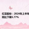 红豆股份：2024年上半年净利润同比下降5.77%