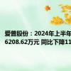 爱普股份：2024年上半年净利润6208.62万元 同比下降11.82%