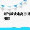 燃气板块走高 洪通燃气涨停