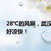 28℃的风啊，武汉今天好凉快！