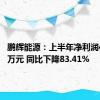 鹏辉能源：上半年净利润4167.9万元 同比下降83.41%