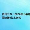 贵州三力：2024年上半年净利润同比增长15.96%