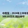 中青宝：2024年上半年净亏损2500.85万元 同比转亏