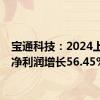 宝通科技：2024上半年净利润增长56.45%