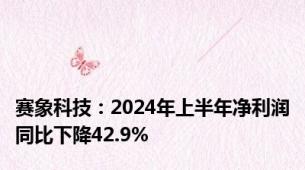 赛象科技：2024年上半年净利润同比下降42.9%