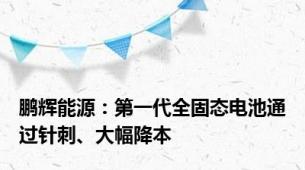 鹏辉能源：第一代全固态电池通过针刺、大幅降本