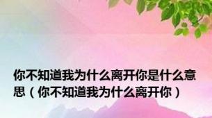 你不知道我为什么离开你是什么意思（你不知道我为什么离开你）