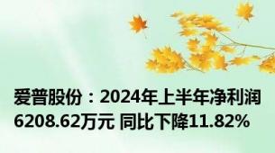 爱普股份：2024年上半年净利润6208.62万元 同比下降11.82%