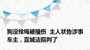 狗没拴绳被撞伤  主人状告涉事车主，宣城法院判了