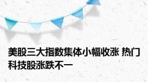 美股三大指数集体小幅收涨 热门科技股涨跌不一