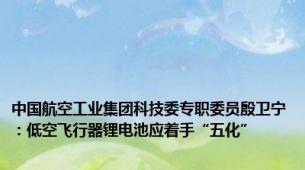 中国航空工业集团科技委专职委员殷卫宁：低空飞行器锂电池应着手“五化”