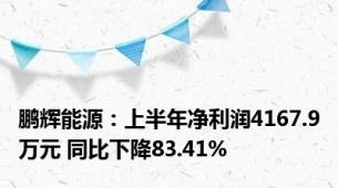 鹏辉能源：上半年净利润4167.9万元 同比下降83.41%