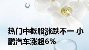 热门中概股涨跌不一 小鹏汽车涨超6%