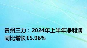 贵州三力：2024年上半年净利润同比增长15.96%