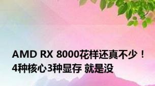 AMD RX 8000花样还真不少！4种核心3种显存 就是没