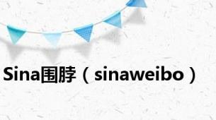 Sina围脖（sinaweibo）