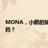 MONA，小鹏的销量解药？