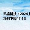 凯盛科技：2024上半年净利下降47.6%