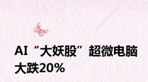 AI“大妖股”超微电脑大跌20%