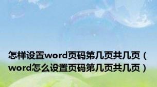 怎样设置word页码第几页共几页（word怎么设置页码第几页共几页）